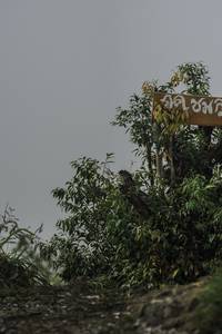 BIB: 
                            <button type="button" onclick="openModal(24731034)" class="btn btn-primary btn-sm float-right btn-popup" data-toggle="modal" data-target=".modal-high-quality">
                        <i class="fas fa-shopping-cart"></i> Add to Cart
                    </button>
                                            <button type="button" onclick="isThisMe(24731034, true)" class="btn btn-success btn-sm float-right btn-popup btn-isme hidden" data-toggle="tooltip" data-placement="bottom" title="นี่คือรูปของคุณใช่ไหม คลิกที่นี่เพื่อเอาเข้าอัลบั้ม">
                        <i class="fas fa-plus"></i> Add to album
                    </button>
                    <button type="button" onclick="isThisMe(24731034, false)" class="btn btn-warning btn-sm float-right btn-popup btn-isnotme hidden">
                        <i class="fas fa-ban"></i> Remove from album
                    </button>